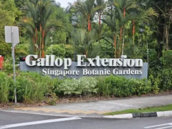 Singapore Botanic Gardens 221403385