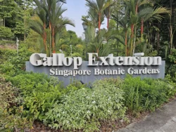 Singapore Botanic Gardens 1859277128