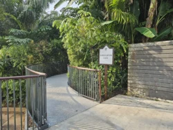 Singapore Botanic Gardens 516097820