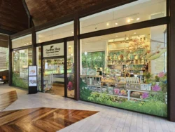 Singapore Botanic Gardens 13287007