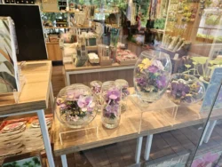 Singapore Botanic Gardens 3307050351