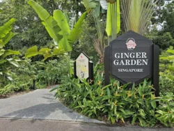 Singapore Botanic Gardens 1338967776