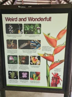 Singapore Botanic Gardens 3083576025
