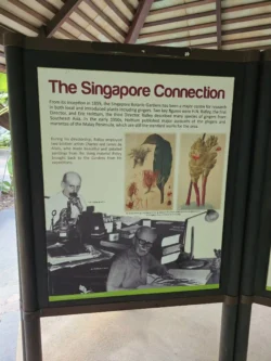 Singapore Botanic Gardens 2583740852