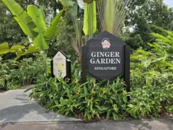 Singapore Botanic Gardens 3203807380