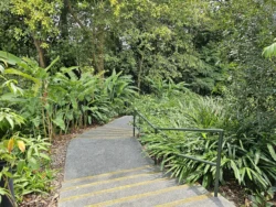 Singapore Botanic Gardens 506627793