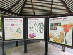 Singapore Botanic Gardens 1322937597