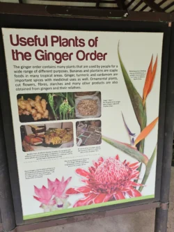 Singapore Botanic Gardens 3044747284