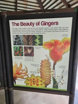 Singapore Botanic Gardens 3851665976