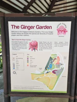 Singapore Botanic Gardens 3814770088
