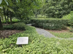 Singapore Botanic Gardens 1928719879