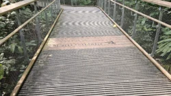 Rifle Range Nature Park 1482955867