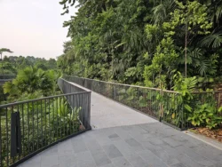 Singapore Botanic Gardens 947469312