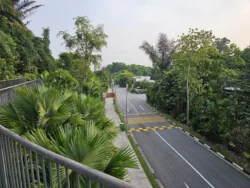 Singapore Botanic Gardens 3175252578