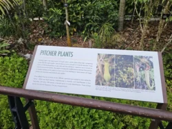 Singapore Botanic Gardens 1127004042