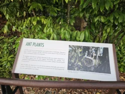Singapore Botanic Gardens 2079891674