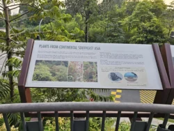 Singapore Botanic Gardens 2561211802