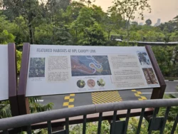 Singapore Botanic Gardens 794109419