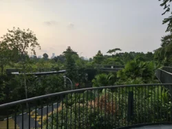 Singapore Botanic Gardens 394343099