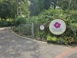 Singapore Botanic Gardens 4008726371