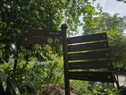 Singapore Botanic Gardens 2974325867