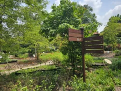 Singapore Botanic Gardens 2308737851