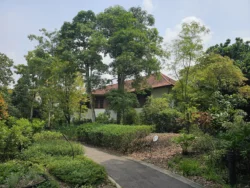 Singapore Botanic Gardens 3105690913