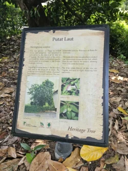 Singapore Botanic Gardens 2177434225