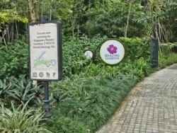 Singapore Botanic Gardens 1515014241