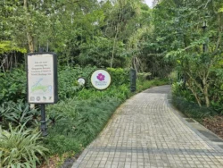 Singapore Botanic Gardens 1654218545