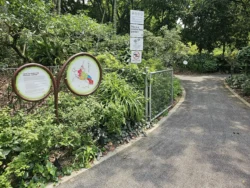 Singapore Botanic Gardens 1301240717