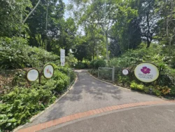 Singapore Botanic Gardens 1456047446