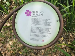 Singapore Botanic Gardens 1003683386