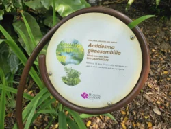 Singapore Botanic Gardens 2860355652