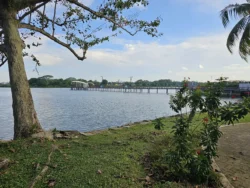 Lower Seletar Reservoir Park 1270799773
