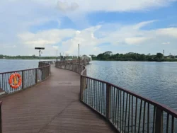 Lower Seletar Reservoir Park 106341768