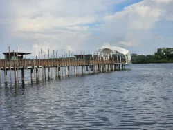 Lower Seletar Reservoir Park 452482493