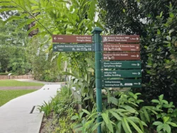 Singapore Botanic Gardens 561906523