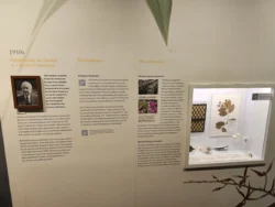 Singapore Botanic Gardens 1054146865