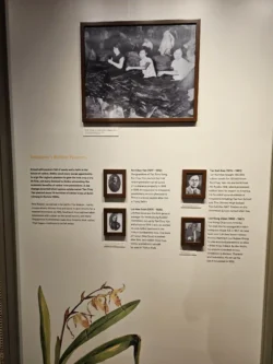 Singapore Botanic Gardens 1333604241