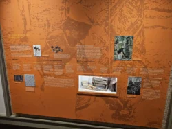 Singapore Botanic Gardens 1462488682