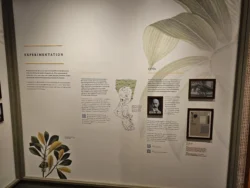 Singapore Botanic Gardens 3226788016