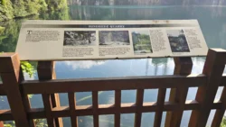 Bukit Timah Nature Reserve 104193038