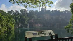 Bukit Timah Nature Reserve 3108105789