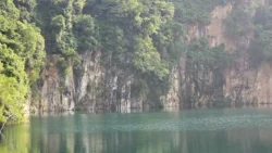 Bukit Timah Nature Reserve 483953690