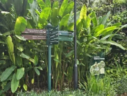 Singapore Botanic Gardens 179289086