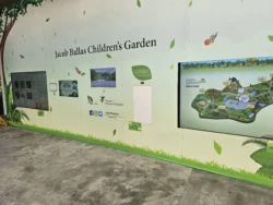 Singapore Botanic Gardens 34684134