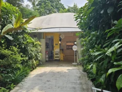 Singapore Botanic Gardens 790494939