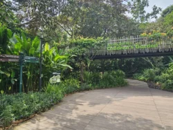 Singapore Botanic Gardens 3004679975