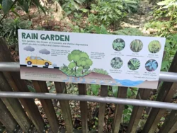 Singapore Botanic Gardens 1201487020